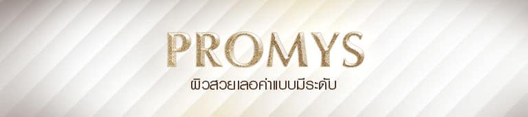 Promys